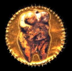 Urmutter vom Hohle Fels